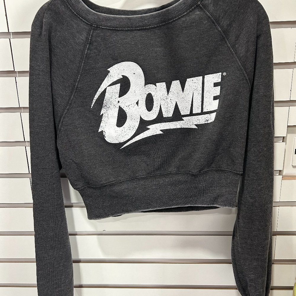 NWT Recycled Karma Bowie Cropped Sweatshirt Final Sale